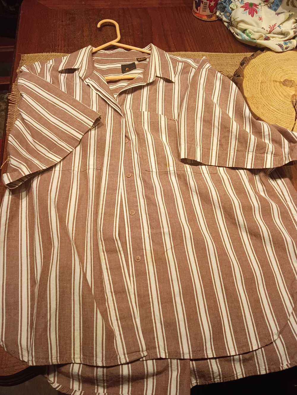 Men's Brown & White Striped Short-Sleeve Button-Down Shirt